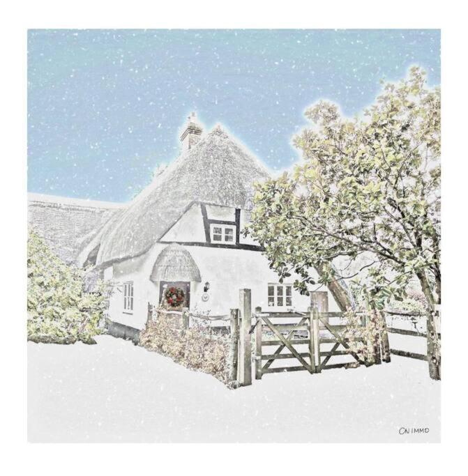 Delightful 3Bed Thatched Cottage Stockbridge  Extérieur photo